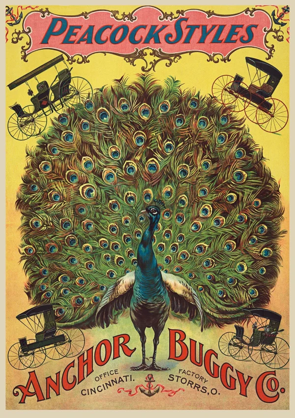Peacock style buddies Vintage adverts Poster Print
