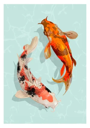 Koi Illustration Poster Print