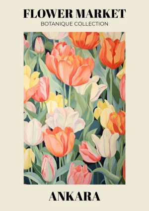 Ankara - Flower market Nature Poster Print