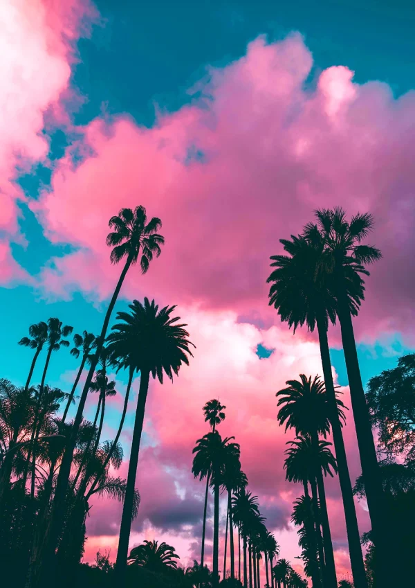 California Photography Poster Print