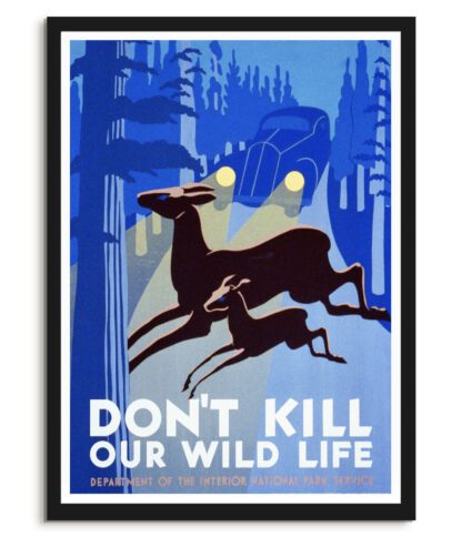 Don't kill our wildlife