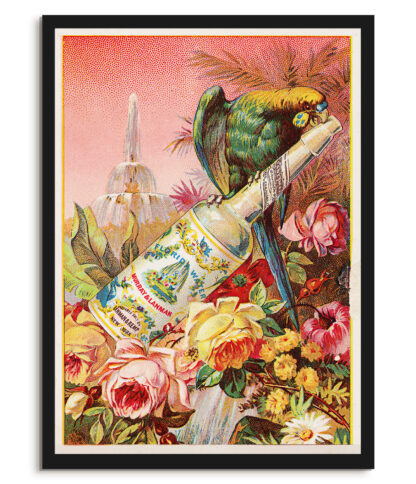 Florida water #2 - Vintage advert