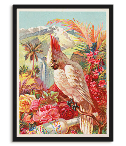 Florida water #3 - Vintage advert