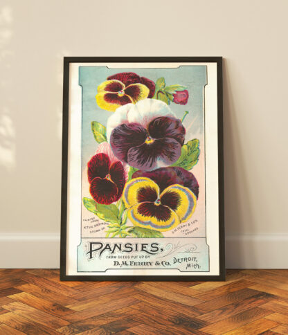 Pansies - Vintage advert - Image 2
