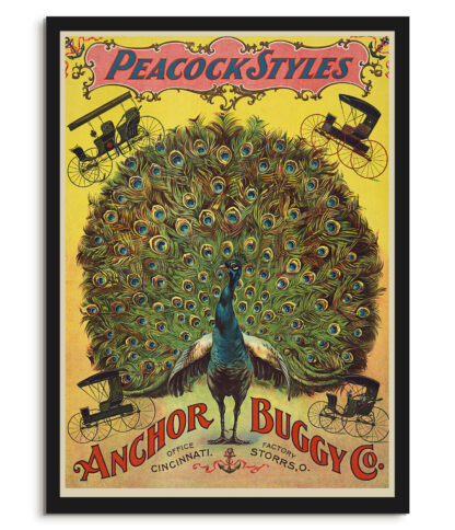 Peacock style buddies - Vintage advert