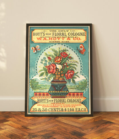 Hoyts Floral Cologne - Vintage advert - Image 2