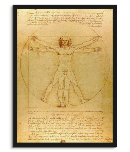 Vetruvian Man - Leonardo Da Vinci