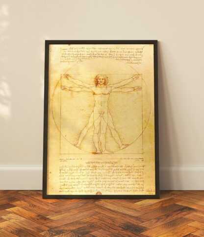 Vetruvian Man - Leonardo Da Vinci - Image 2