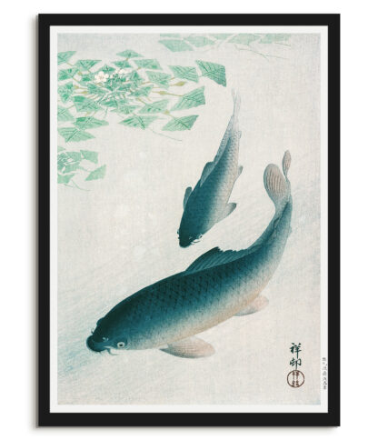 Carp - Ohara Koson