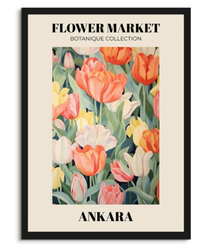 Ankara - Flower market