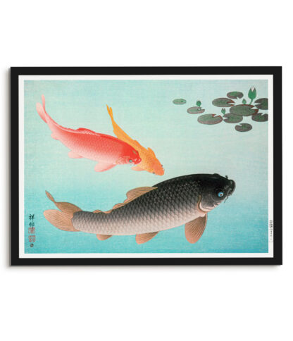 Common and Golden Carp - Ohara Koson